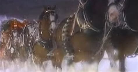 Budweiser Clydesdale commercial melted our hearts in 1987, it still ...