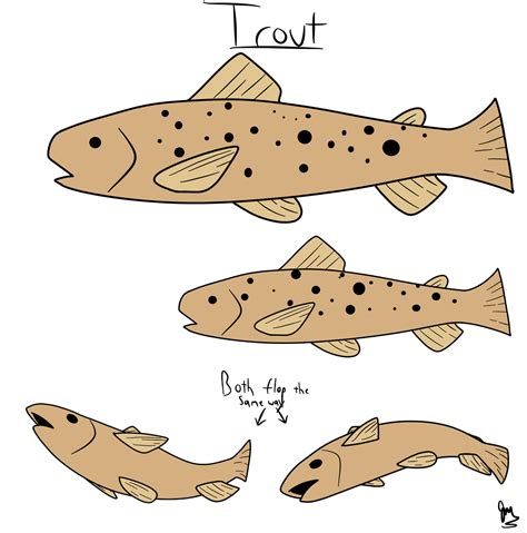 Trout By Jaybee003 On Deviantart