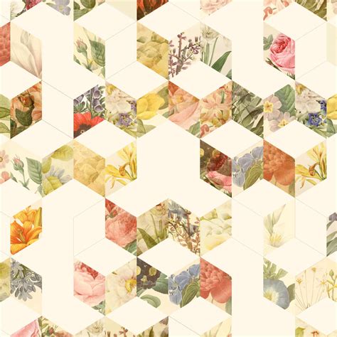 Cream | ElephantStock