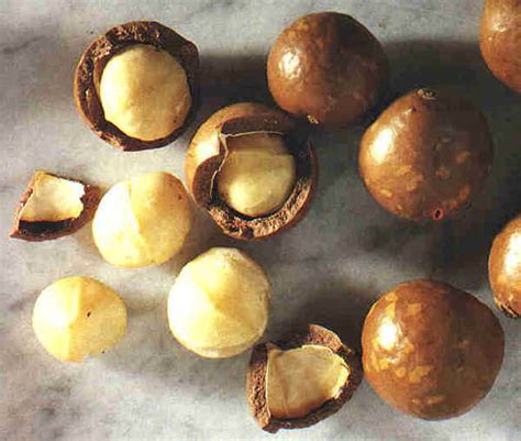 Fruit Warehouse Macadamia Macadamia Integrifolia