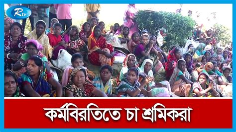 দৈনিক মজুরি তিনশ টাকা করার দাবিতে চা শ্রমিকদের কর্মবিরতি Rtv News