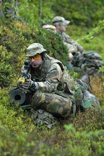 RAF Regiment Gunner, of RAF Reserve. | Marine forces, British army ...