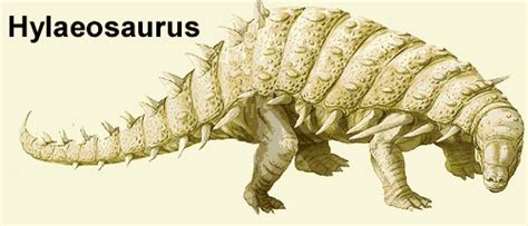 Hylaeosaurus Pictures & Facts - The Dinosaur Database