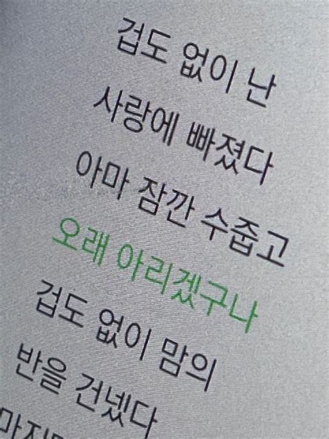 아마 잠깐 수줍고 오래 아리겠구나 노래 가사 인용구 가사 인용구 편안한 문구