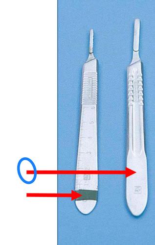 Lecture 5 Common Surgical Instruments Flashcards Quizlet