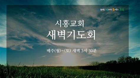 2022 2 21 시흥교회 새벽기도회 김만태목사사도행전 18장 5절~8절 Youtube