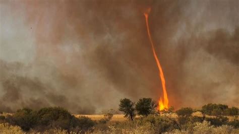 rare fire devil caught  film fire tornado  science