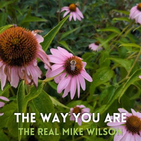 real mike wilson mike wilson