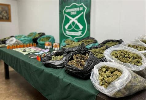 Os 7 Desarticuló Banda Criminal Dedicada Al Cultivo Y Tráfico De Drogas