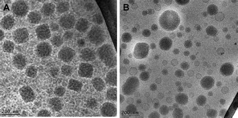 Representative Cryotransmission Electron Microscopy Cryo Tem Images Download Scientific