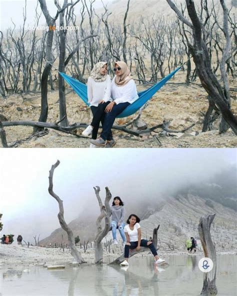 Hutan Mati Gunung Papandayan Indahnya Pesona Alam Di Garut BookingTogo