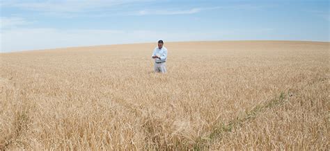 Fertiberia Y Heineken Impulsan Los Fertilizantes Bajos En Carbono