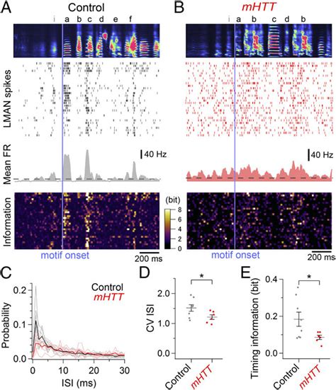 Abnormally Regular Lman Activity With Less Timing Information In Mhtt