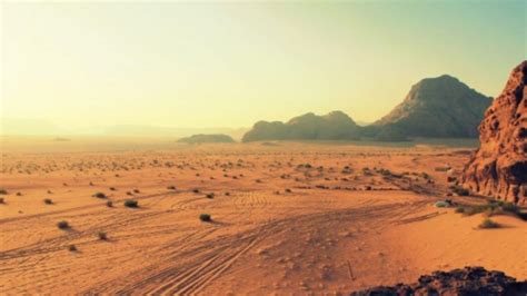 characteristics   desert ecosystem  types