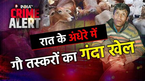 रात के अंधेरे में गुरु ग्राम में गौ तस्करों का गंदा खेल Gurugram Cow