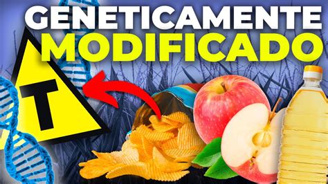 Desvantagem Dos Alimentos Transgênicos - RETOEDU