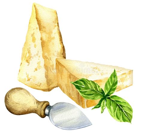 Watercolor Parmesan Cheese Pieces With Cheese Knife And Basil Hand