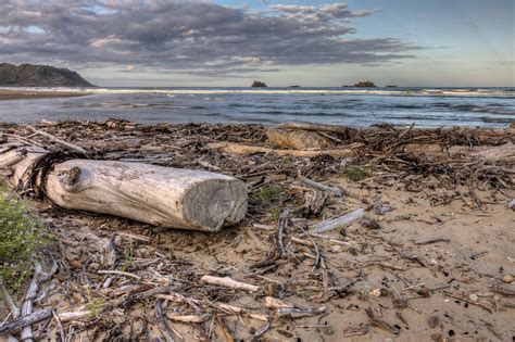 Kairakau Beach Evening Driftwood Barry Chesterman Flickr