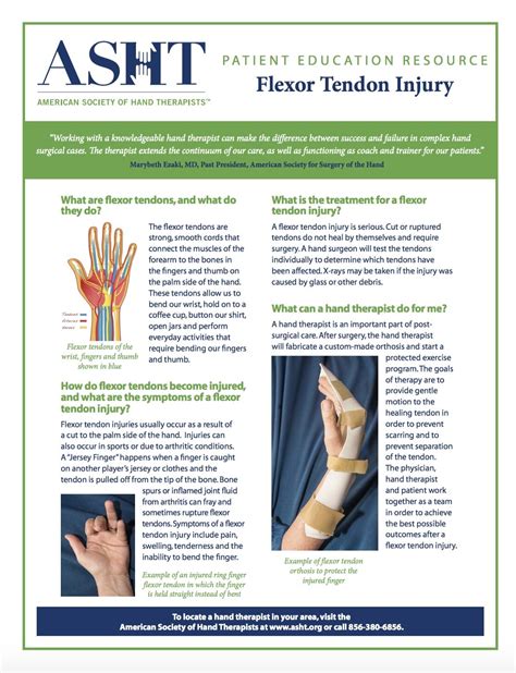 Flexor Tendon Injury And Repair Ability Hand To Shoulder Rehabilitation