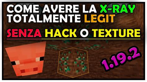 Come Usare La X Ray Con Un Maiale Senza Hack O Texture Pack Minecraft