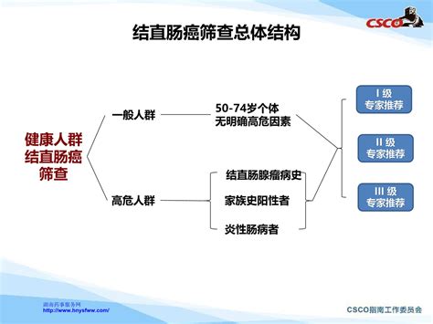 Csco结直肠癌诊疗指南（2020版） 指南•规范•共识 资讯中心 湖南药事服务网