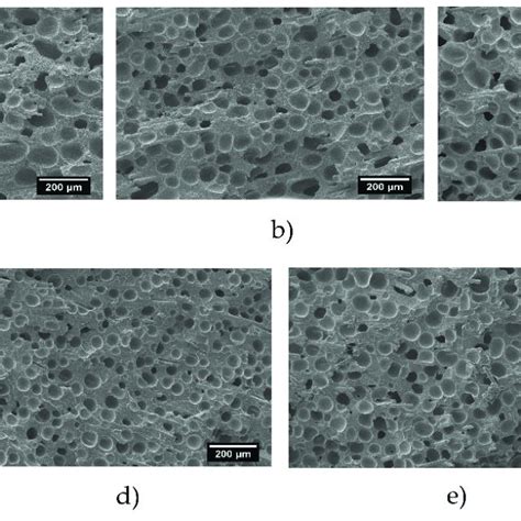 Scanning electron microscopy (SEM) micrographs of several obtained ... 