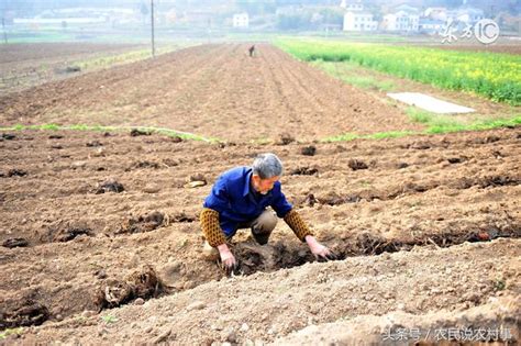 農村單身人群持續增多，未來20年將面臨怎樣難題 每日頭條