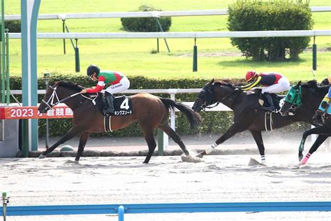 【阿蘇s】人気のキングズソードが鮮やかに差し切ってオープン連勝 サンスポzbat