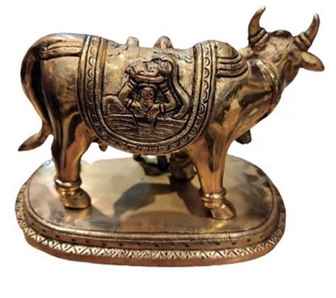 Brass Kamadhenu Cow Calf Statue at Rs 1600 piece गय क पतल क