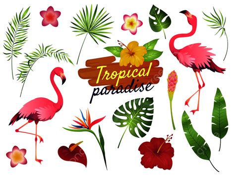 Pink Tropical Flowers Vector Art Png Tropical Flamingos Pink Jungle