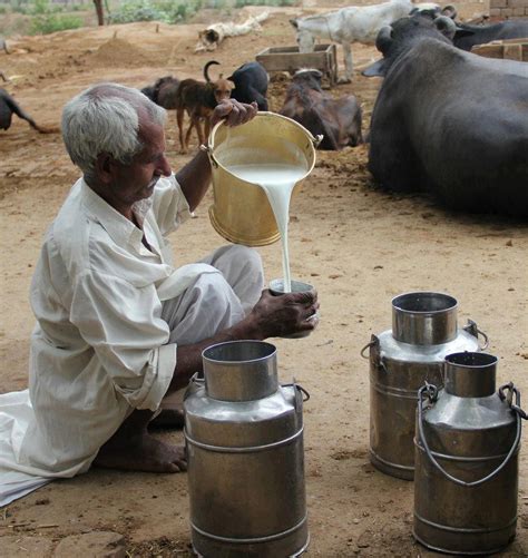 Indian Milk Man Variety Funny