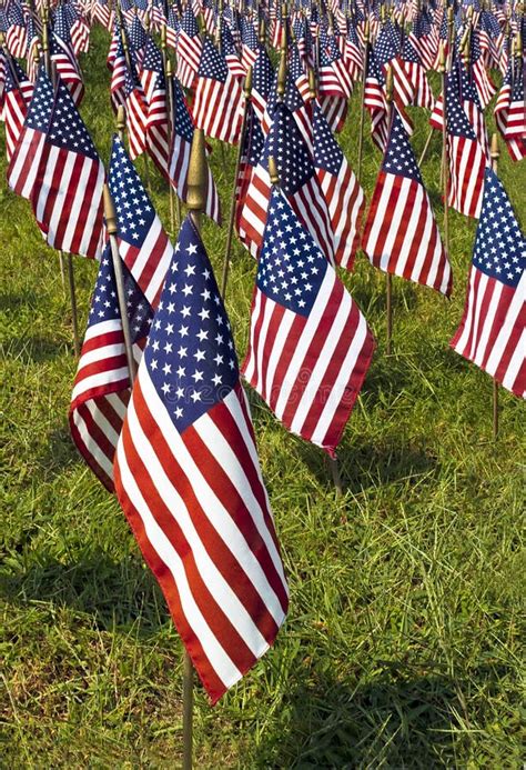 Field Of United States Flags Stock Photo Image Of Flags Memorial