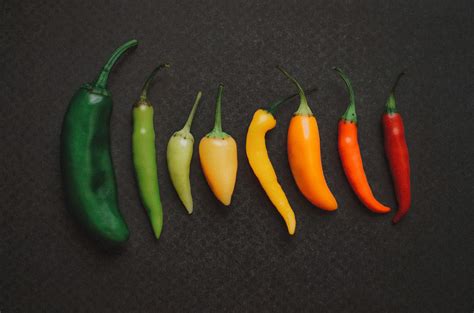 Plant Sale A Pepper For Every Palate Hennepin County Master