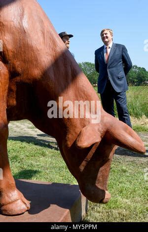 Hilvarenbeek Paesi Bassi Il Giugno Re Willem Alexander Dei