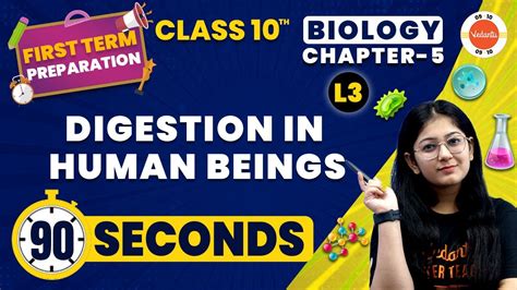 Digestion In Human Beings Life Processes Class 10 CBSE Class 10