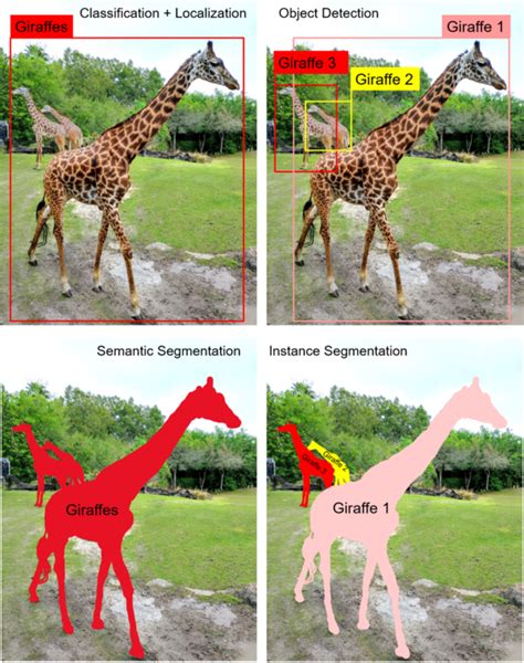 Instance Segmentation For Digital Pathology Tissue Image Analysis