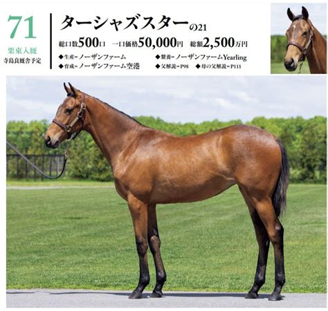 シルク2022年度募集馬分析【64～79】 バッタの一口馬主データ分析室