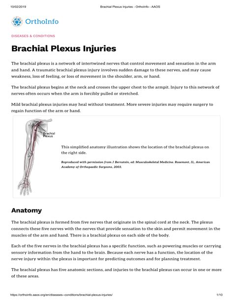 Brachial Plexus Injuries OrthoInfo AAOS