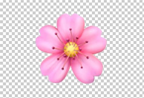 Emoji Domain Flower Png Clipart Blossom Cherry Blossom Computer