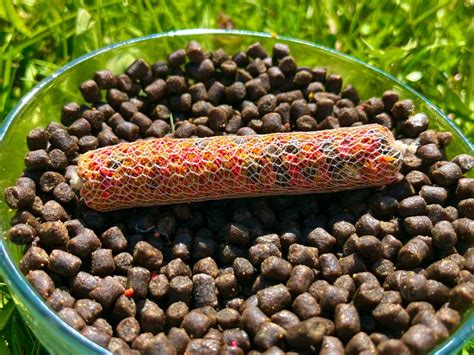 Как сделать универсальный стик-микс для ловли карпа?