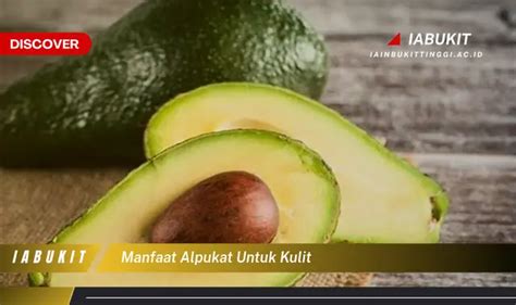 Ketahui 7 Manfaat Alpukat Untuk Kulit Yang Bikin Kamu Penasaran