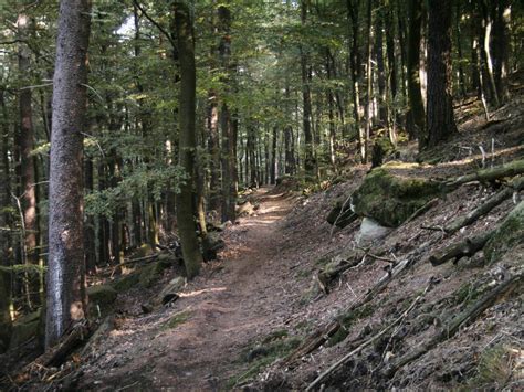 Verbindung Tour N He Eschkopf Zu Tour Hermersbergerhof Touren