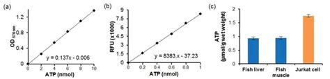 ATP 检测试剂盒ATP Assay Kit