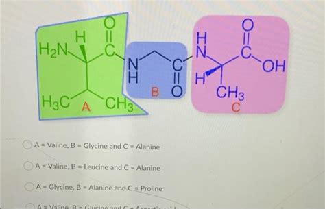 Solved Identify The Polar Amino Acids Look At The Nature Of