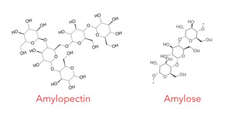 Amylose and Amylopectin molecules Chris Kresser • Paleo Foundation