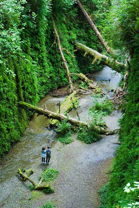 Prairie Creek Redwoods State Park