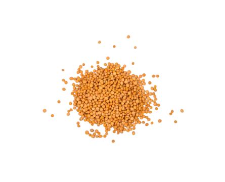 Heap Of Yellow Mustard Seeds Isolated Cooking One Wholegrain White