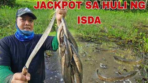 Jackpot Sa Huli Isda Abandonadong Palayan Pinamumugaran Ng Mga Isda