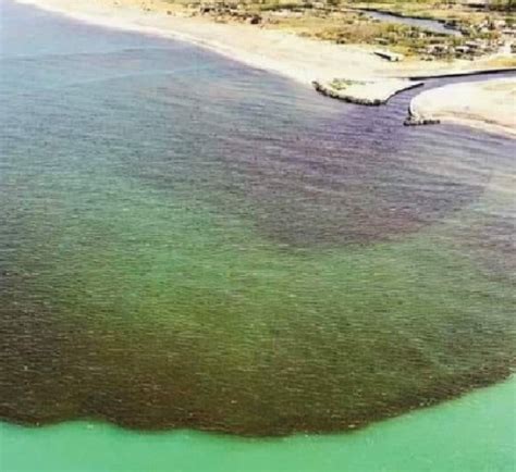 Scarichi In Mare Campania Maglia Nera