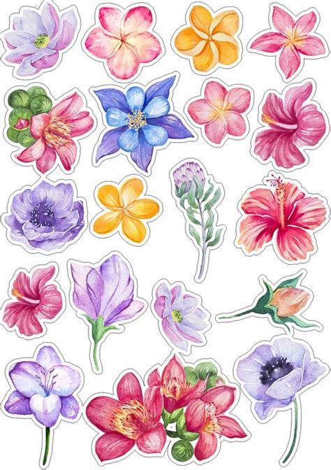 Imagenes De Flores Para Imprimir Y Recortar Flores De Papel Images